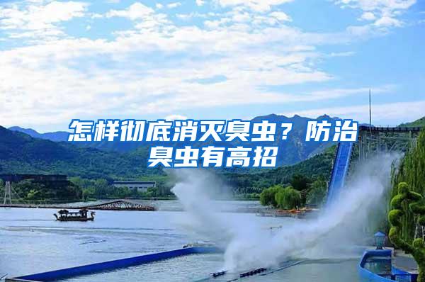 怎樣徹底消滅臭蟲？防治臭蟲有高招