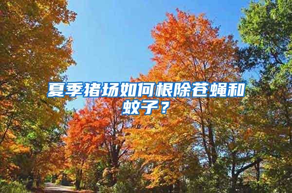 夏季豬場如何根除蒼蠅和蚊子？