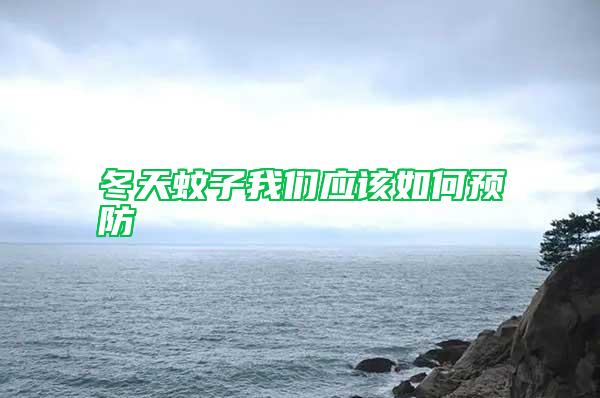 冬天蚊子我們應該如何預防