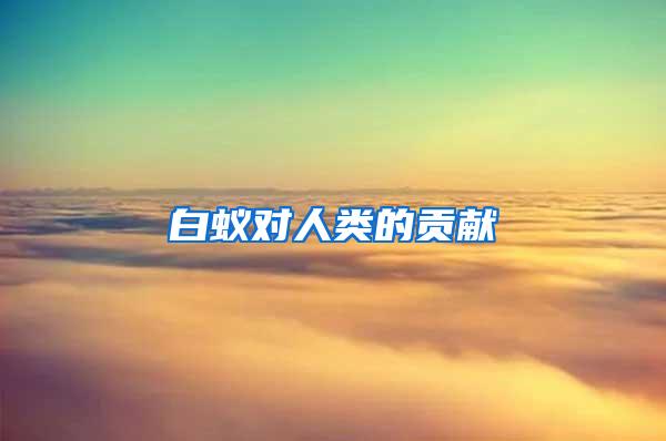 白蟻對(duì)人類的貢獻(xiàn)