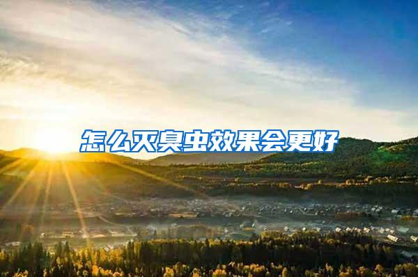 怎么滅臭蟲效果會更好