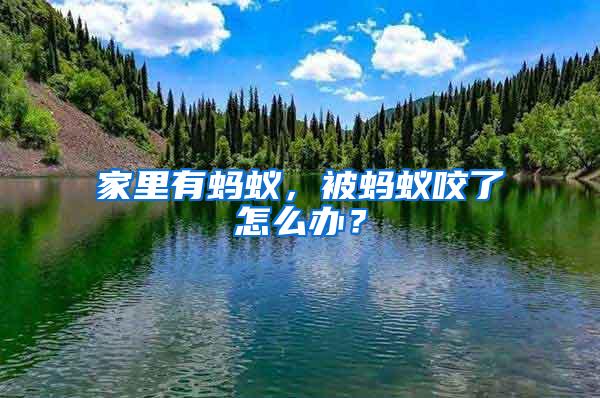 家里有螞蟻，被螞蟻咬了怎么辦？
