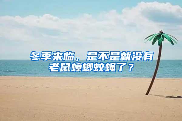 冬季來臨，是不是就沒有老鼠蟑螂蚊蠅了？