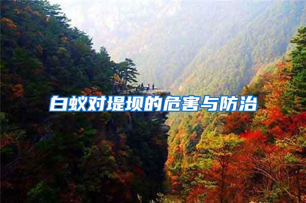 白蟻對堤壩的危害與防治