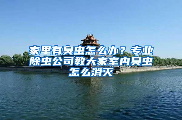 家里有臭蟲怎么辦？專業除蟲公司教大家室內臭蟲怎么消滅