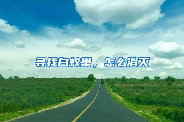 尋找白蟻巢，怎么消滅