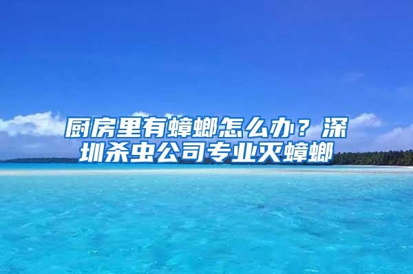 廚房里有蟑螂怎么辦？深圳殺蟲公司專業(yè)滅蟑螂