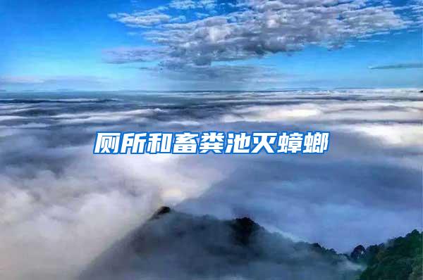 廁所和畜糞池滅蟑螂
