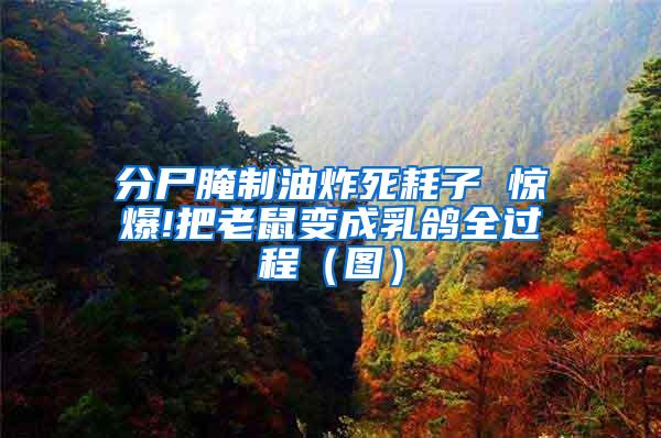 分尸腌制油炸死耗子 驚爆!把老鼠變成乳鴿全過程（圖）