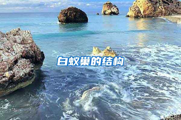 白蟻巢的結(jié)構(gòu)