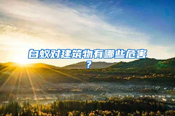 白蟻對建筑物有哪些危害？