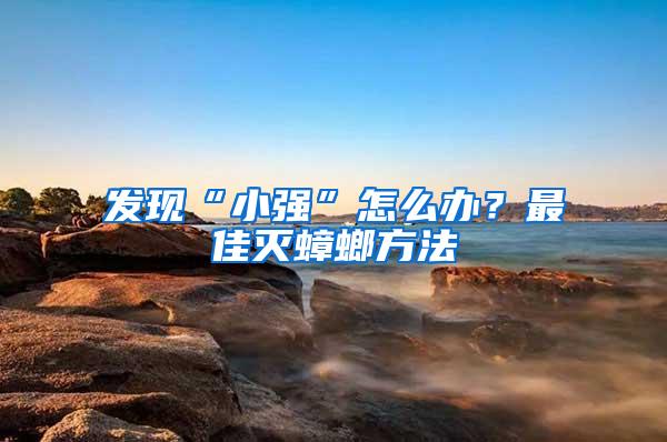 發現“小強”怎么辦？最佳滅蟑螂方法