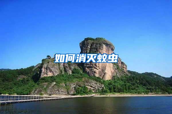 如何消滅蚊蟲