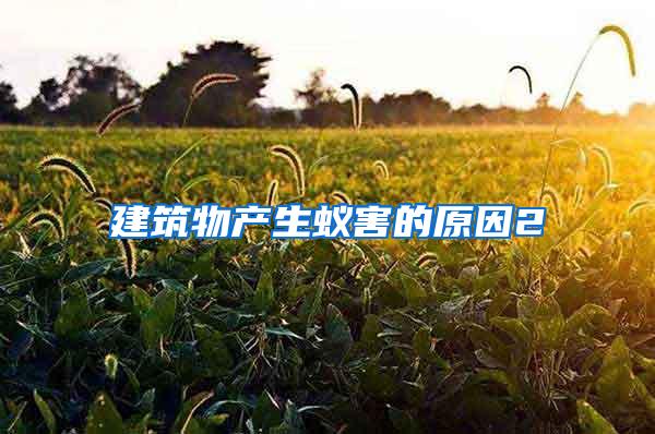 建筑物產(chǎn)生蟻害的原因2