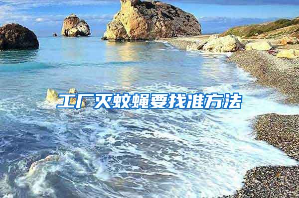 工廠滅蚊蠅要找準(zhǔn)方法