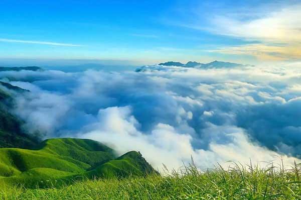 家庭驅(qū)趕蚊蠅的小妙招
