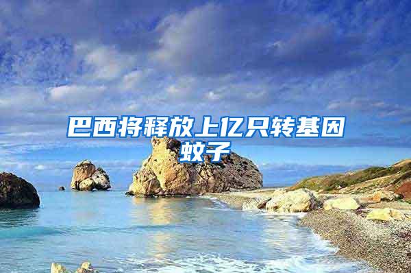 巴西將釋放上億只轉(zhuǎn)基因蚊子