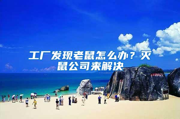 工廠發現老鼠怎么辦？滅鼠公司來解決