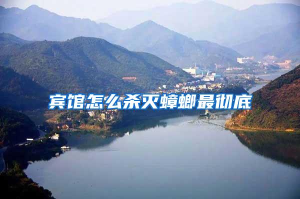 賓館怎么殺滅蟑螂最徹底
