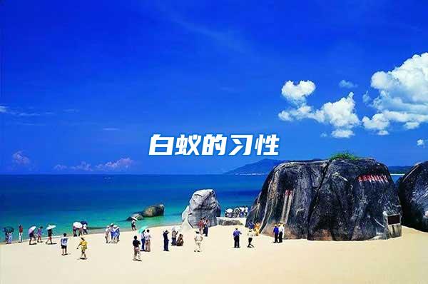白蟻的習性