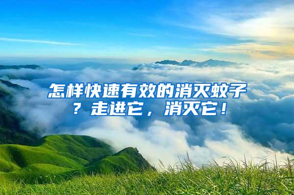 怎樣快速有效的消滅蚊子？走進(jìn)它，消滅它！