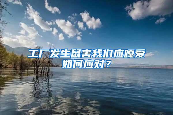 工廠發(fā)生鼠害我們應(yīng)嘎愛(ài)如何應(yīng)對(duì)？