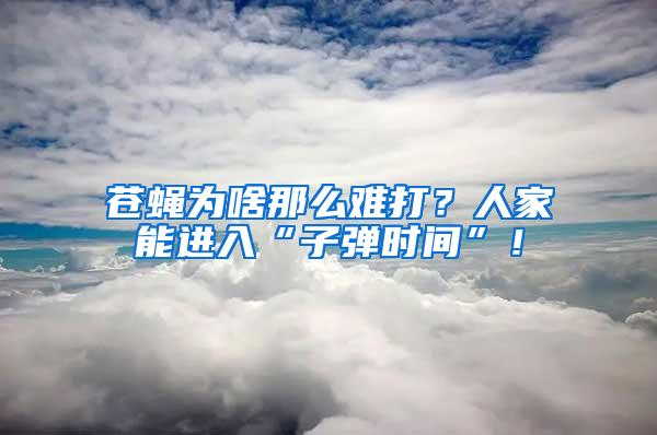 蒼蠅為啥那么難打？人家能進(jìn)入“子彈時(shí)間”！