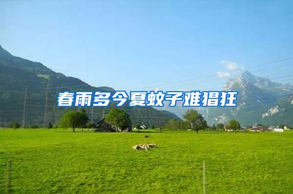 春雨多今夏蚊子難猖狂