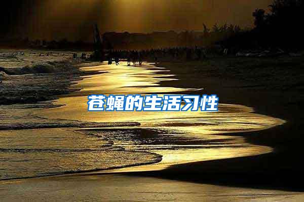 蒼蠅的生活習性