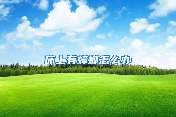床上有蟑螂怎么辦