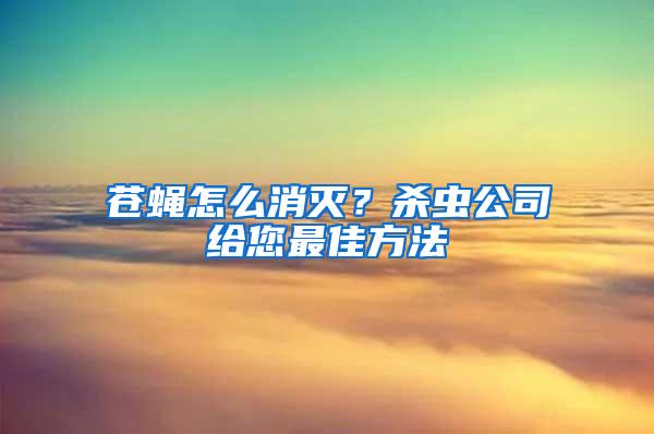 蒼蠅怎么消滅？殺蟲公司給您最佳方法