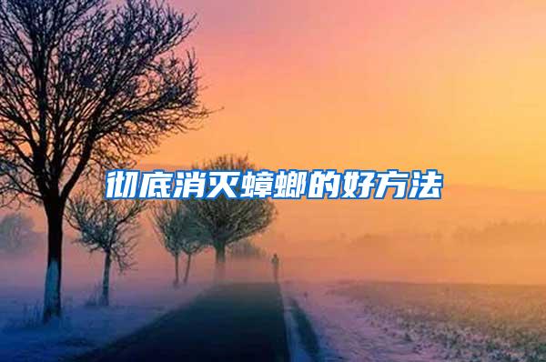 徹底消滅蟑螂的好方法