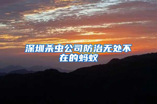 深圳殺蟲公司防治無處不在的螞蟻