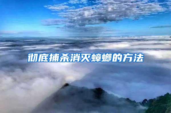 徹底捕殺消滅蟑螂的方法