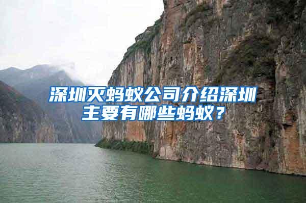 深圳滅螞蟻公司介紹深圳主要有哪些螞蟻？