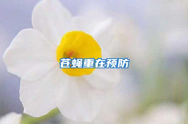 蒼蠅重在預(yù)防