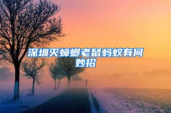 深圳滅蟑螂老鼠螞蟻有何妙招