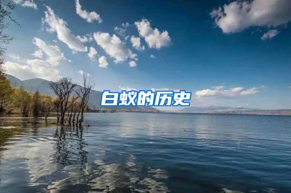 白蟻的歷史