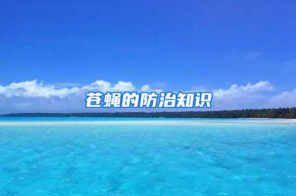 蒼蠅的防治知識