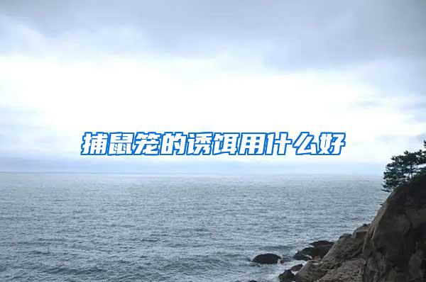 捕鼠籠的誘餌用什么好