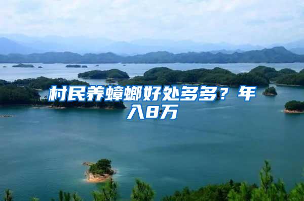 村民養(yǎng)蟑螂好處多多？年入8萬