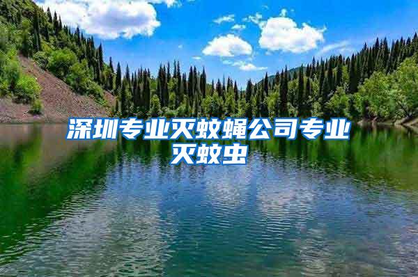 深圳專(zhuān)業(yè)滅蚊蠅公司專(zhuān)業(yè)滅蚊蟲(chóng)