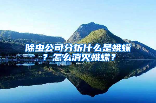 除蟲(chóng)公司分析什么是蛾蠓？怎么消滅蛾蠓？