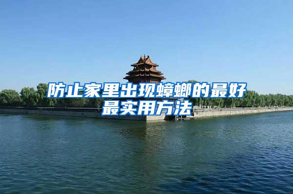 防止家里出現蟑螂的最好最實用方法