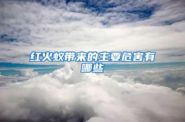 紅火蟻帶來的主要危害有哪些