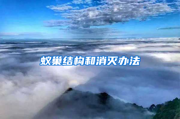 蟻巢結(jié)構(gòu)和消滅辦法