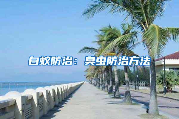 白蟻防治：臭蟲(chóng)防治方法