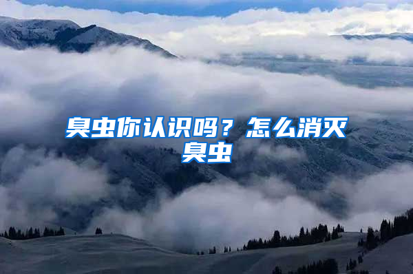 臭蟲(chóng)你認(rèn)識(shí)嗎？怎么消滅臭蟲(chóng)