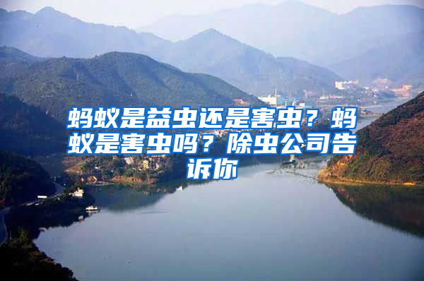 螞蟻是益蟲還是害蟲？螞蟻是害蟲嗎？除蟲公司告訴你