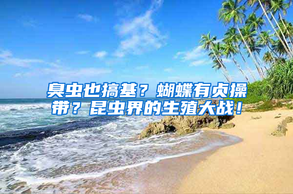 臭蟲也搞基？蝴蝶有貞操帶？昆蟲界的生殖大戰(zhàn)！